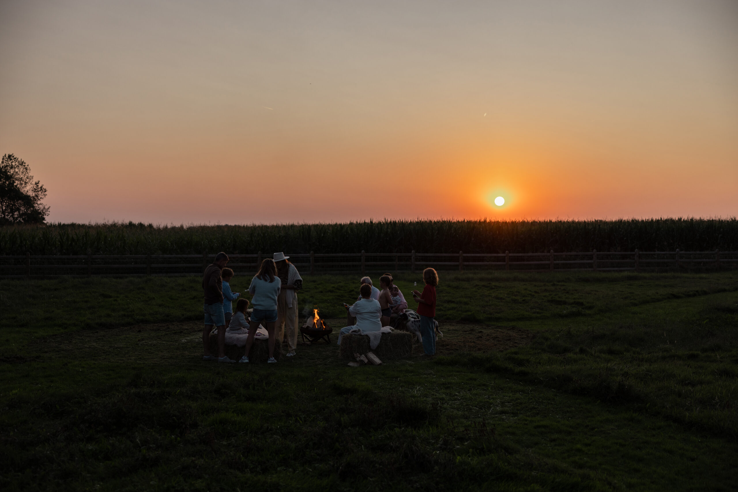 Kopie van De Weelde_274_LR (1)